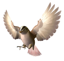 animals & birds free transparent png image.