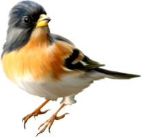 animals & birds free transparent png image.