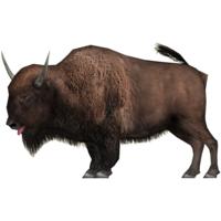 animals & bison free transparent png image.