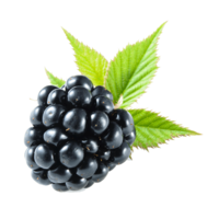 fruits & Blackberry free transparent png image.