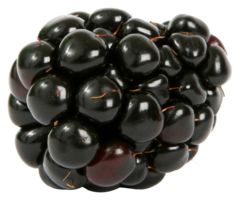 fruits & Blackberry free transparent png image.