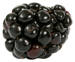 fruits & Blackberry free transparent png image.