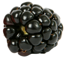 fruits & Blackberry free transparent png image.