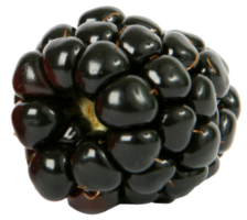 fruits & Blackberry free transparent png image.