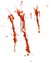 miscellaneous & blood free transparent png image.