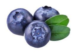 fruits & Blueberries free transparent png image.