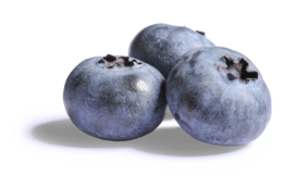 fruits & Blueberries free transparent png image.