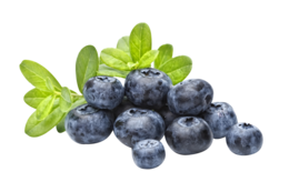 fruits & blueberries free transparent png image.