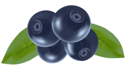 fruits & Blueberries free transparent png image.