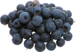 fruits & Blueberries free transparent png image.