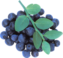 fruits & Blueberries free transparent png image.