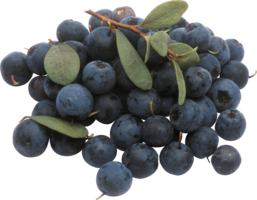 fruits & Blueberries free transparent png image.