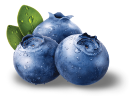 fruits & Blueberries free transparent png image.