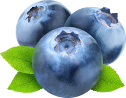 fruits & Blueberries free transparent png image.