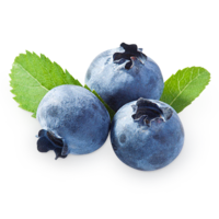 fruits & Blueberries free transparent png image.