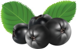 fruits & Blueberries free transparent png image.