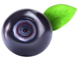 fruits & Blueberries free transparent png image.