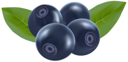 fruits & Blueberries free transparent png image.