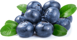 fruits & Blueberries free transparent png image.