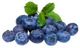 fruits & Blueberries free transparent png image.