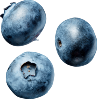 fruits & Blueberries free transparent png image.