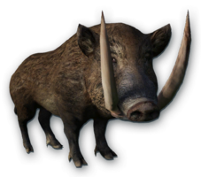 animals & Boar free transparent png image.