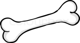 miscellaneous & bone free transparent png image.