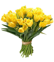 flowers&Bouquet of flowers png image.