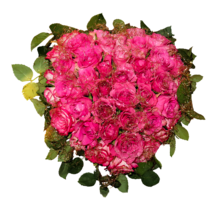 flowers & Bouquet of flowers free transparent png image.