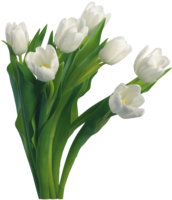 flowers & Bouquet of flowers free transparent png image.