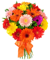 flowers & Bouquet of flowers free transparent png image.