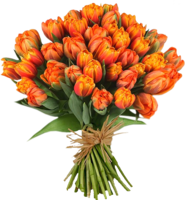 flowers & Bouquet of flowers free transparent png image.