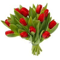 flowers & Bouquet of flowers free transparent png image.