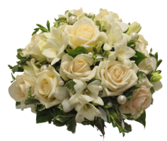 flowers & Bouquet of flowers free transparent png image.