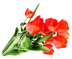 flowers & Bouquet of flowers free transparent png image.