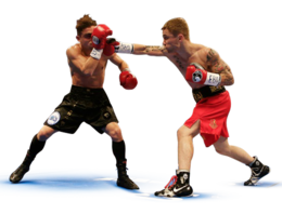 sport & Boxing gloves free transparent png image.