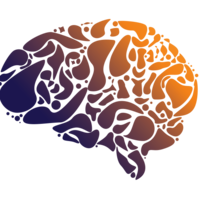 people & brain free transparent png image.