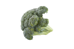 vegetables & Broccoli free transparent png image.