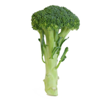 vegetables & Broccoli free transparent png image.