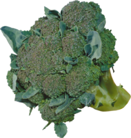 vegetables & broccoli free transparent png image.