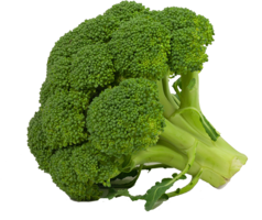 vegetables & Broccoli free transparent png image.