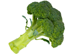 vegetables & broccoli free transparent png image.