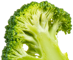 vegetables & Broccoli free transparent png image.