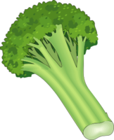 vegetables & Broccoli free transparent png image.