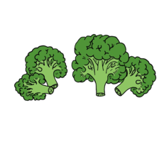 vegetables & Broccoli free transparent png image.