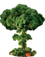 vegetables & Broccoli free transparent png image.