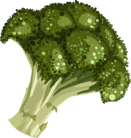 vegetables & Broccoli free transparent png image.