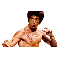 celebrities & bruce lee free transparent png image.