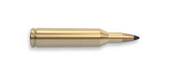 weapons & Bullets free transparent png image.