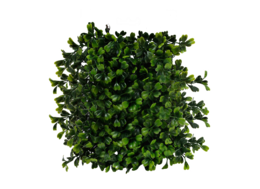 nature & Bushes free transparent png image.